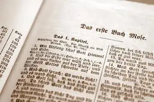 Das Seufzen der Schöpfung: Der Zustand der Schöpfung durch die Erbsünde verschlechtert